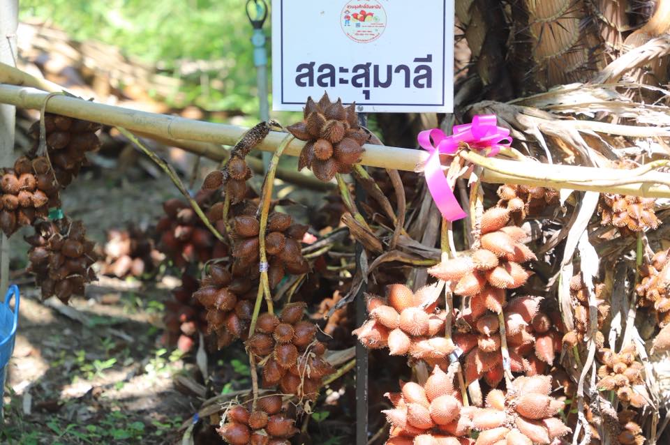 title - เลขาฯ ส.ป.ก. พร้อมคณะ ร่วมลงพื้นที่ติดตามคณะ รมช.กษ. ตรวจราชการ ณ ตำบลอ่าวลึก